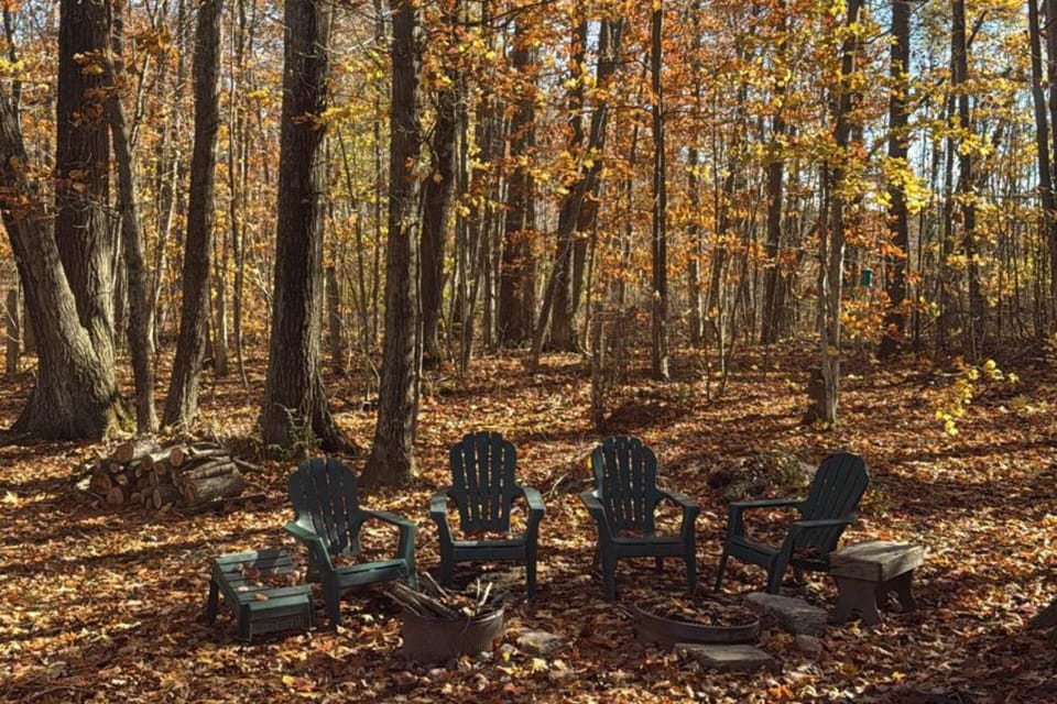 Backyard firepits surrounded by the forest canopy - beautiful throughout all fou
