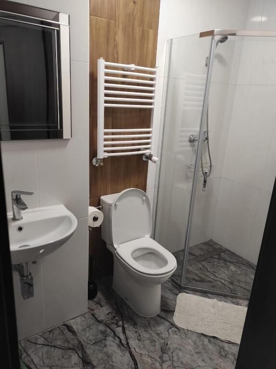 Shower, towels, toilet paper