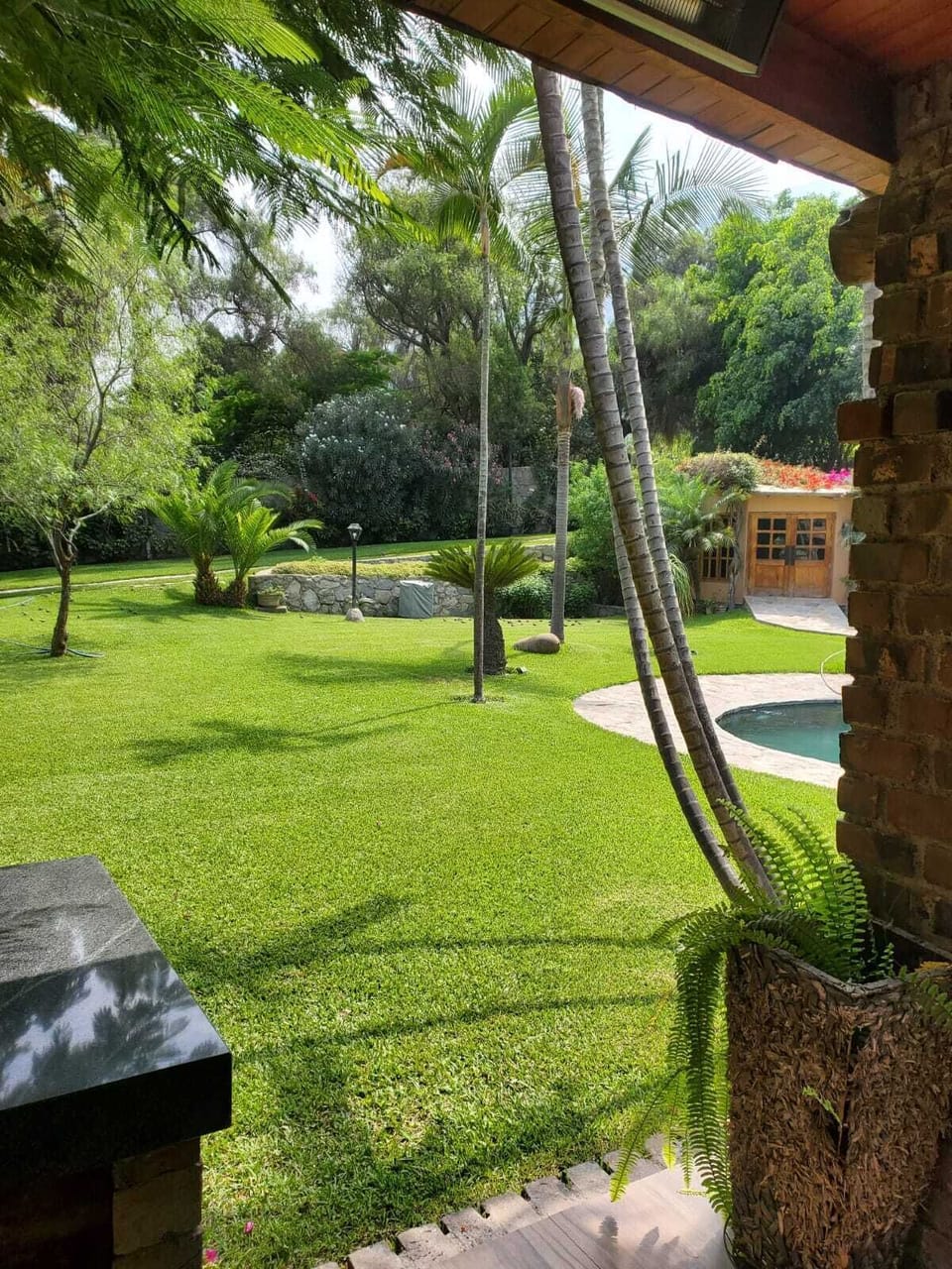 House | Property grounds