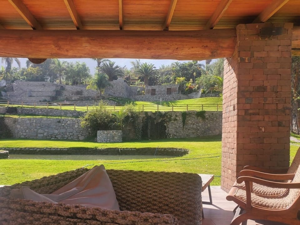 House | Property grounds