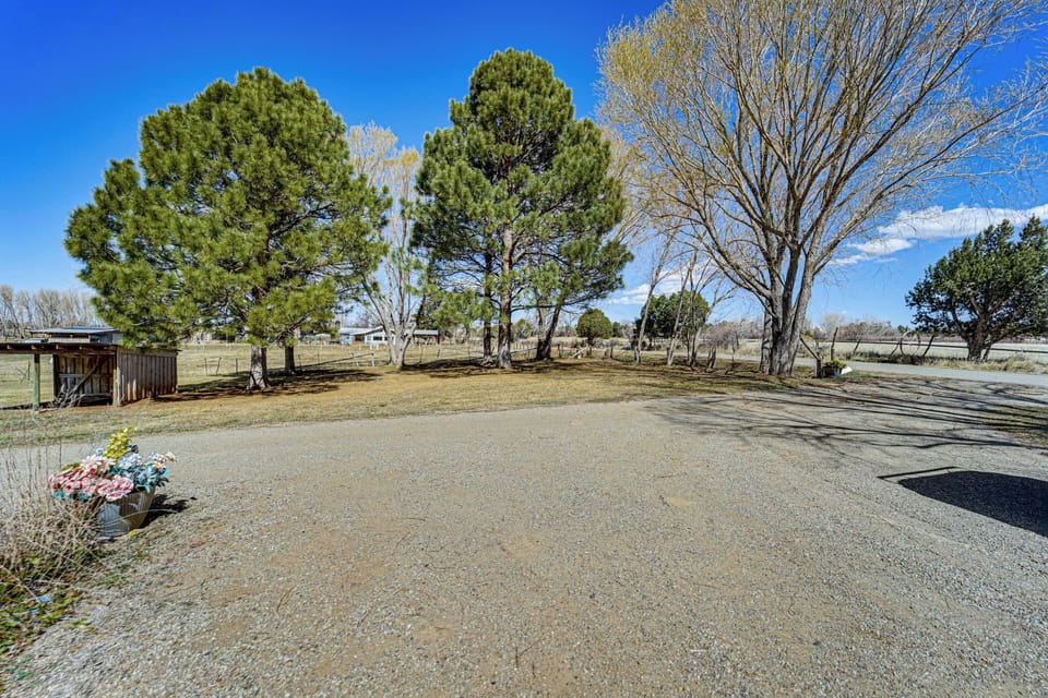 Parking | Driveway (6 Vehicles)