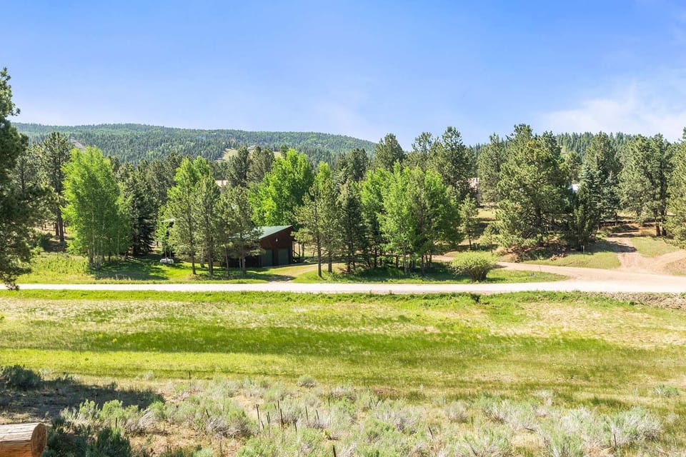Nestled among aspens and pines, this mountain cabin sits just off a quiet gravel road. - Daytime Cabin View - The Alta - Angel Fire, NM