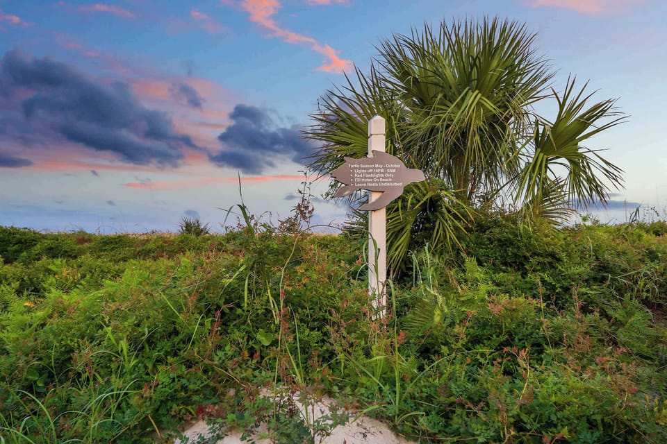 Coastal views and sandy shores nearby.