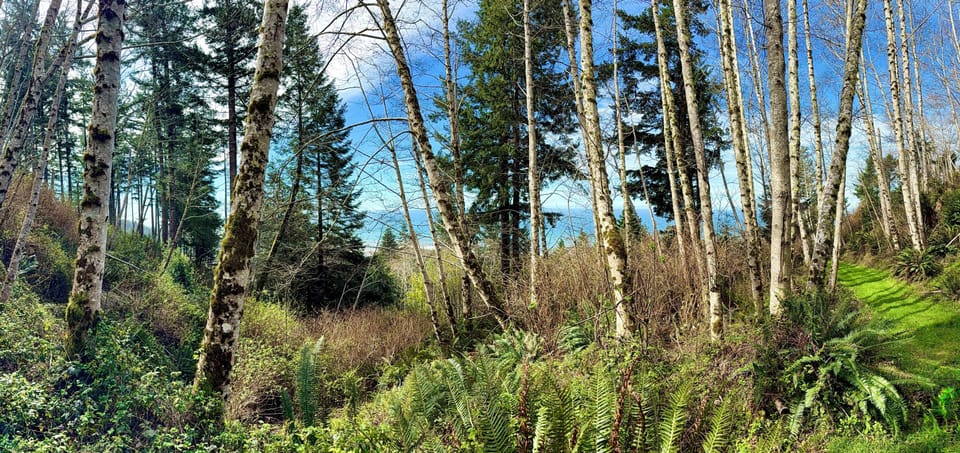 View from trails facing the Ocean front.