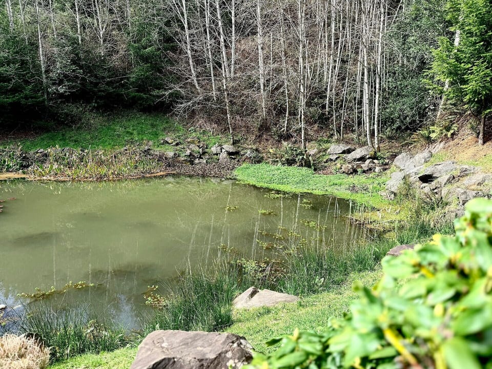 One of the estate’s serene ponds
