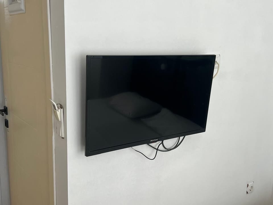Television