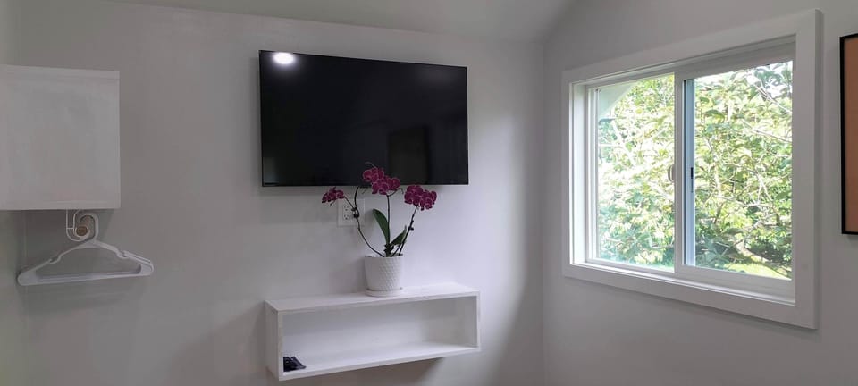 smart tv to watch your favorite movies, Amazon prime, Hulu and Disney plus.