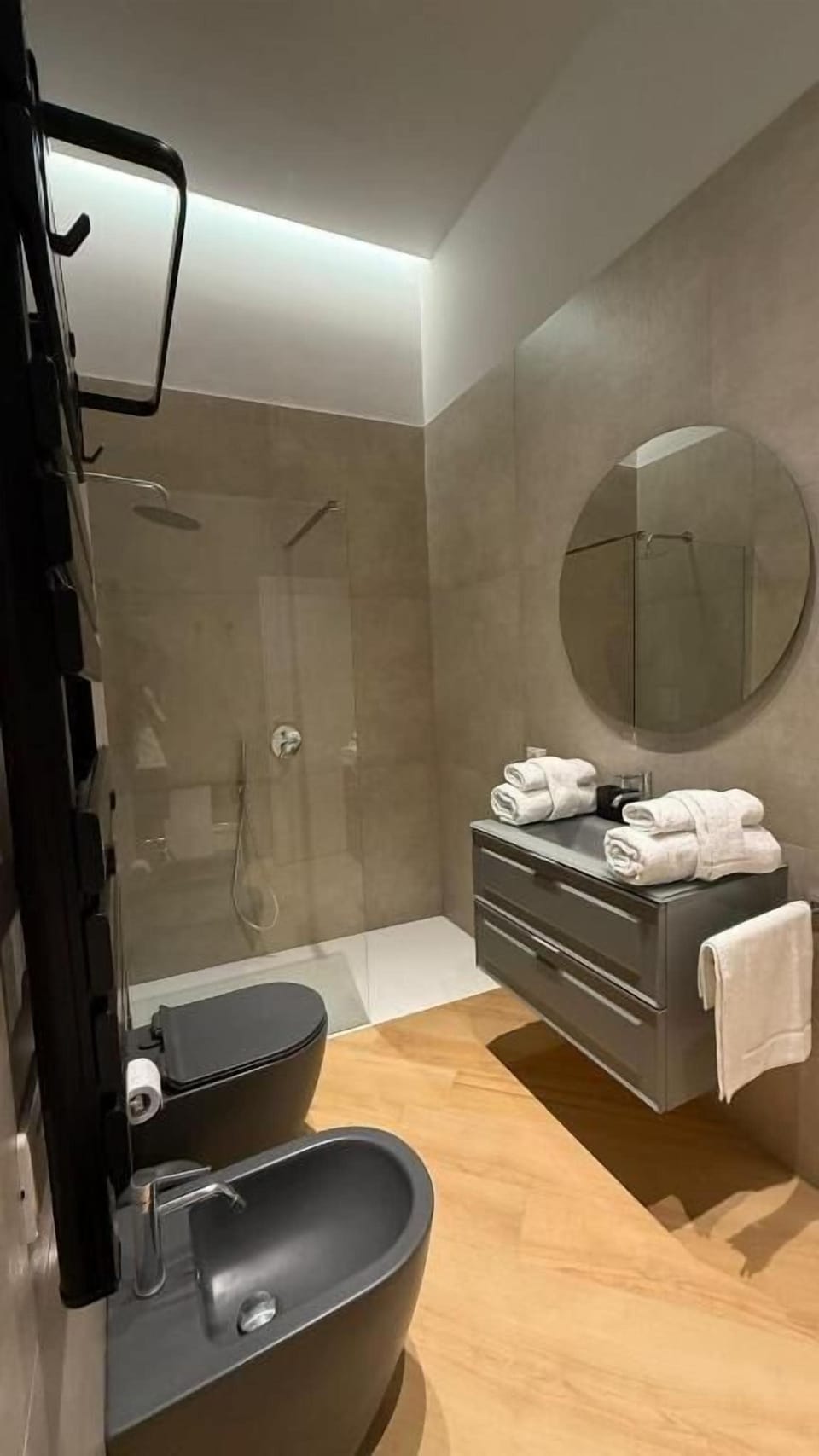 Shower, hair dryer, bidet, towels