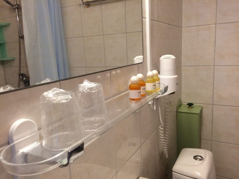 Family Room | Bathroom | Shower, free toiletries, towels