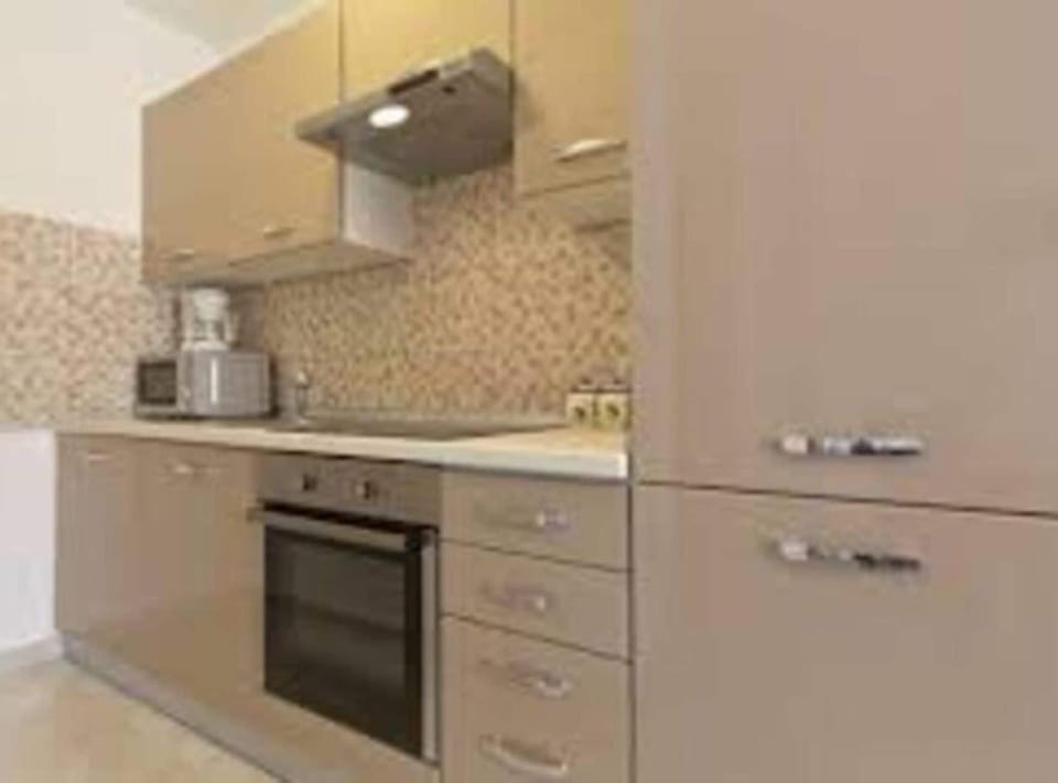 Apartment (One Bedroom Apartment with Balcony) | Private kitchen | Fridge