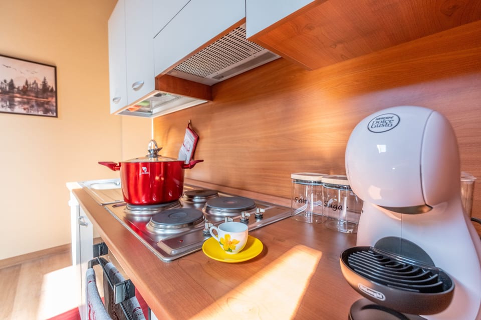 Apartment, 1 King Bed with Sofa bed, City View | Private kitchen | Freezer, dining table