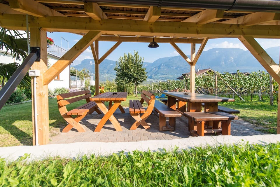 Loungers beneath the vines