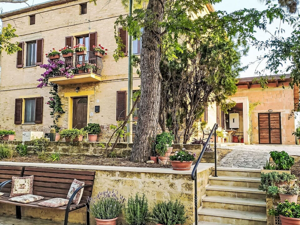 Flowerpot, House, Door, Spring, Garden, Houseplant, Yard, Landscaping, Balcony