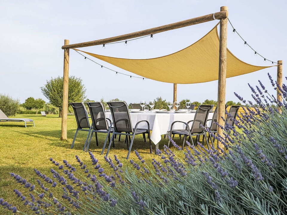 Outdoor Furniture, Shade, Garden, Outdoor Table, Chair, Patio, Folding Chair, Tablecloth