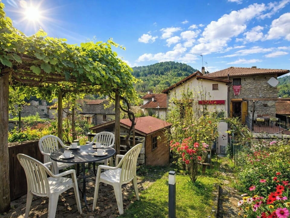 House, Rural Area, Cottage, Village, Spring, Yard, Mountain Village, Houseplant, Balcony