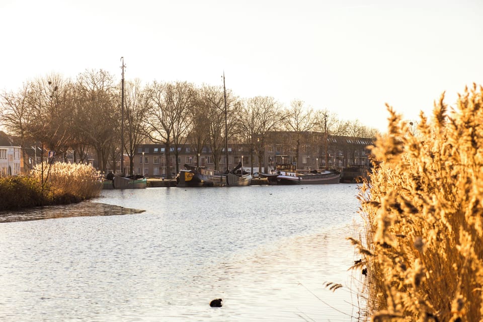 A River Softly Bordered by Reeds - Visit Brabant