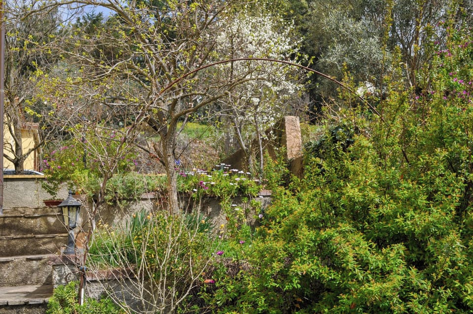 House, Patio | Property grounds