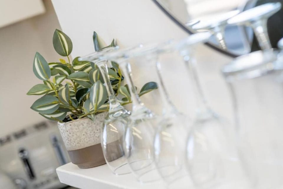 Wine glasses and a small leafy plant on a surface within the property.