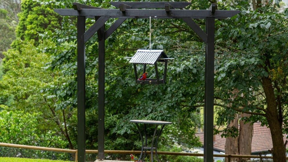 Arcadia Cottage | Garden views with bird feeder