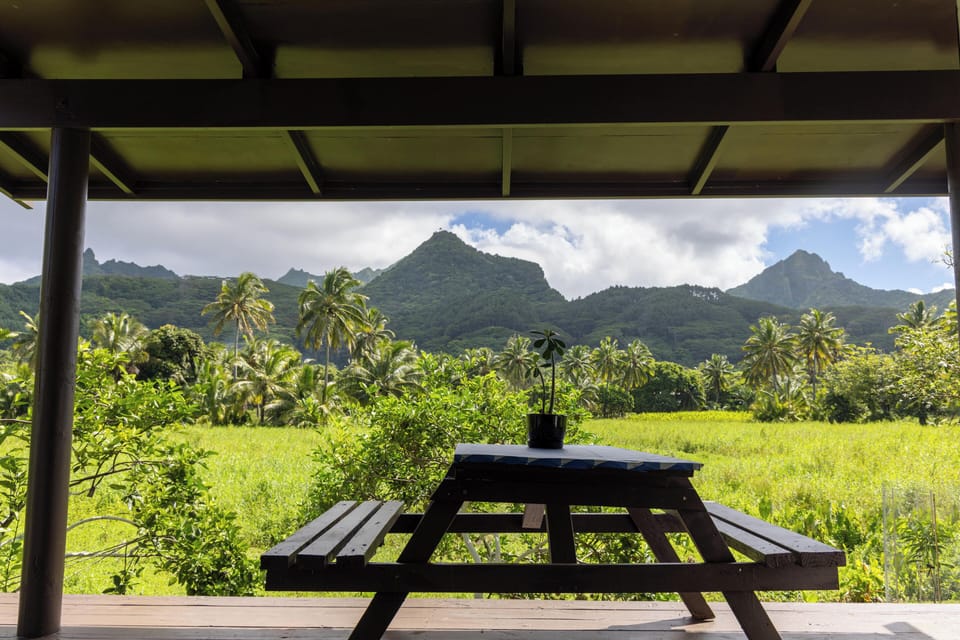 Relax on the breezy deck with peaceful mountain and wetland views.”