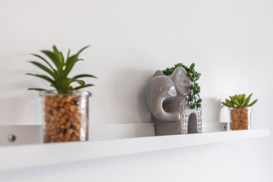 Minimalist shelf styling with greenery and modern decor accents
