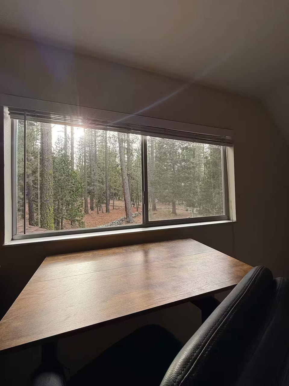 Workstation with forest view in upstairs Bedroom 2. Adjustable height desk/chair