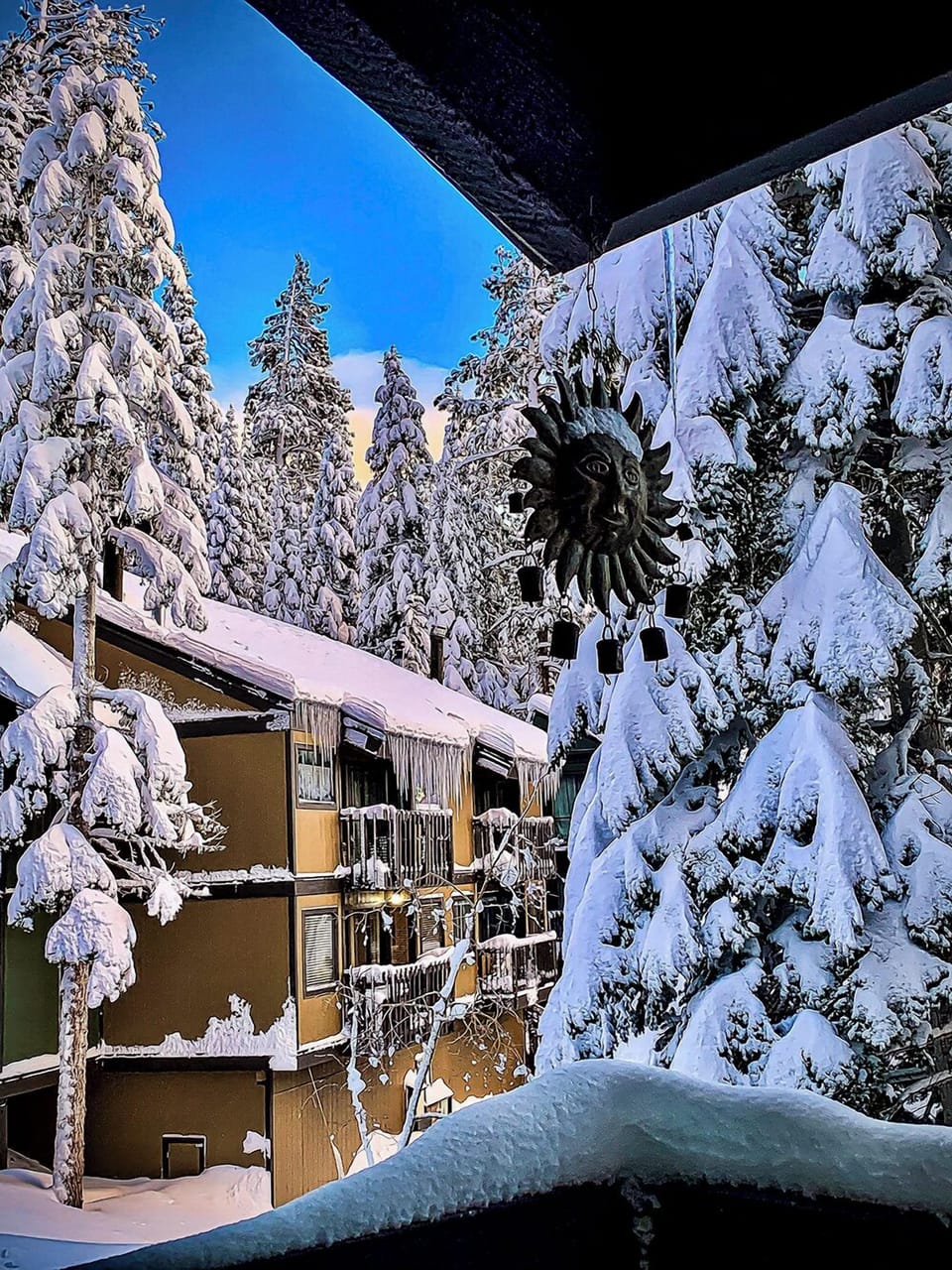 View from property