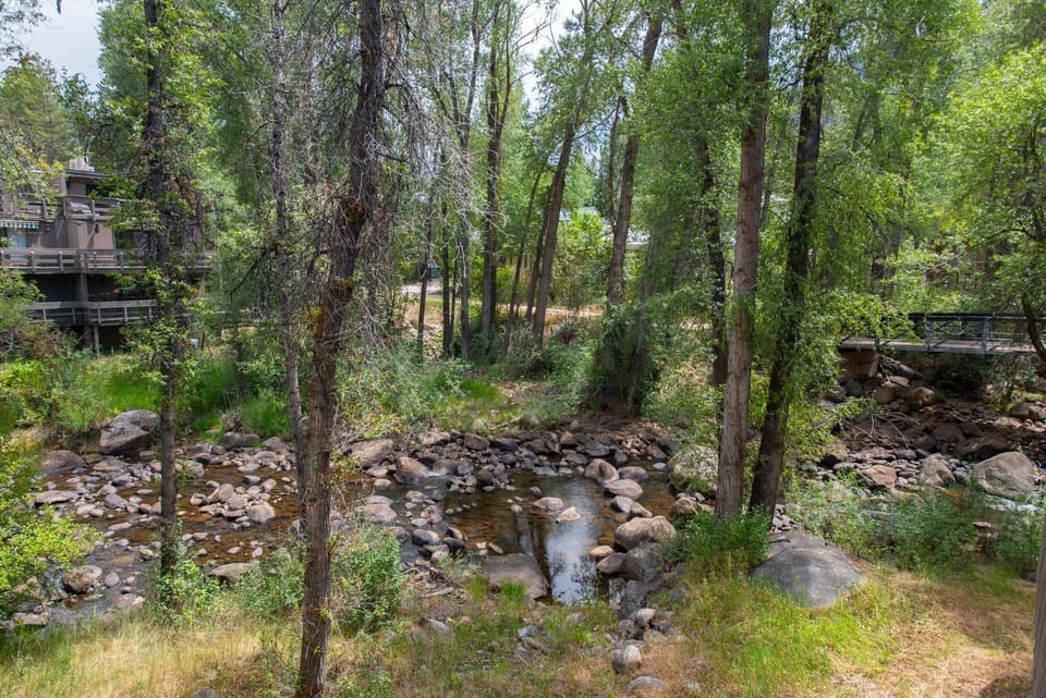 Summer view of the Roaring Fork River