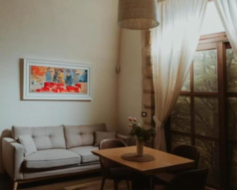 Deluxe Double or Twin Room | Living area | TV