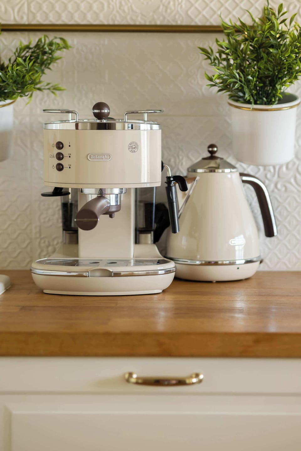 A close-up of a countertop setup with a coffee machine, kettle, and decorative plants.