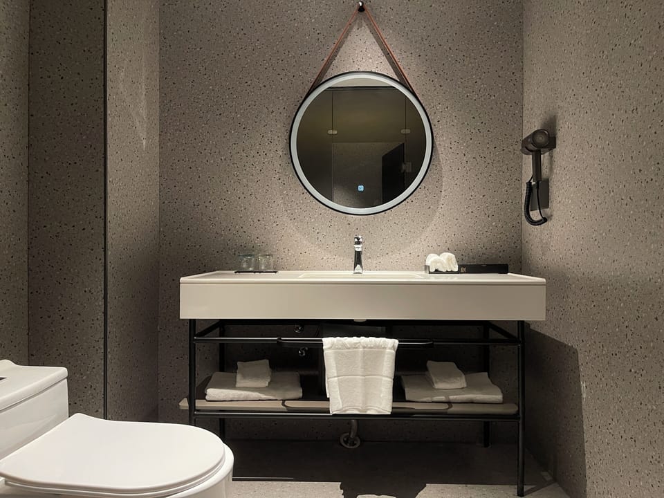 Business Double Room, City View | Bathroom | Shower, hair dryer, towels, shampoo