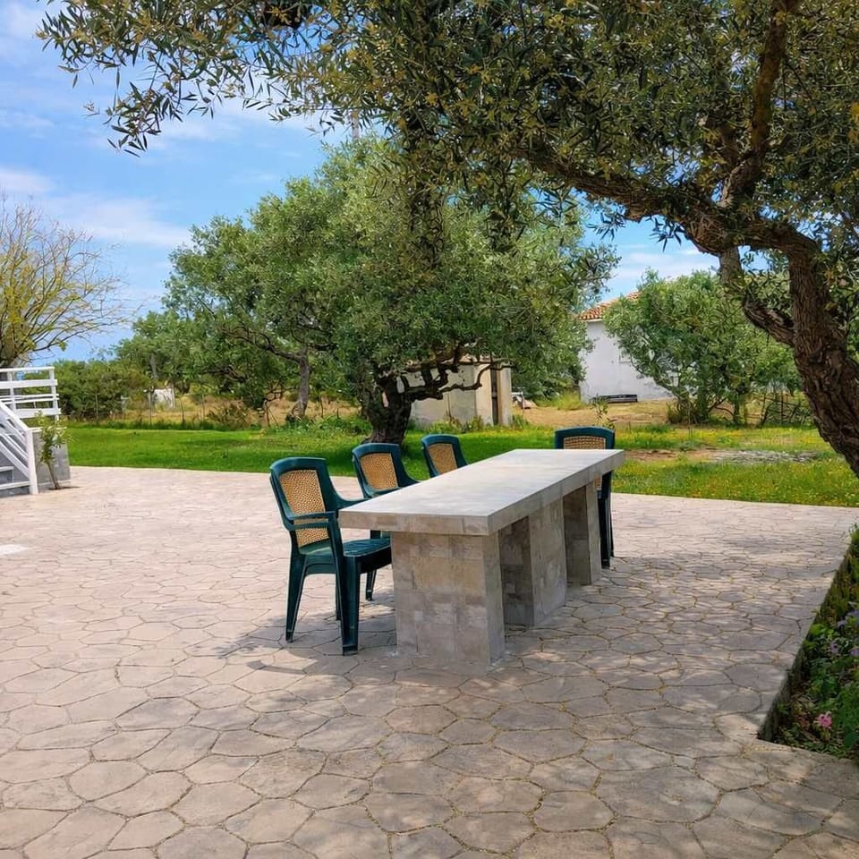 Outdoor Dining Area Surrounded by Trees and Nature