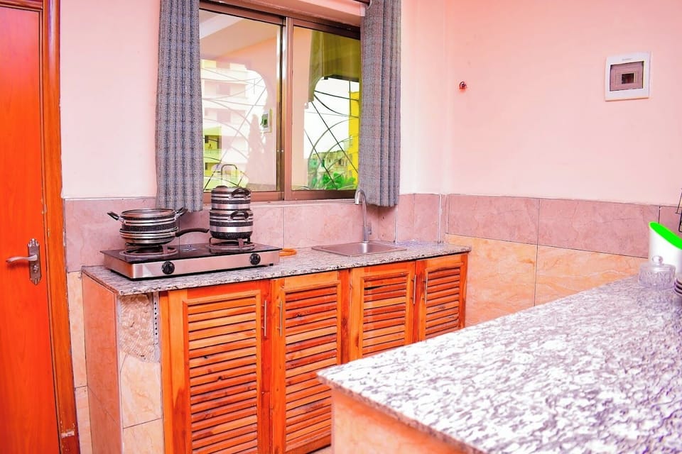 Deluxe Apartment | Private kitchen