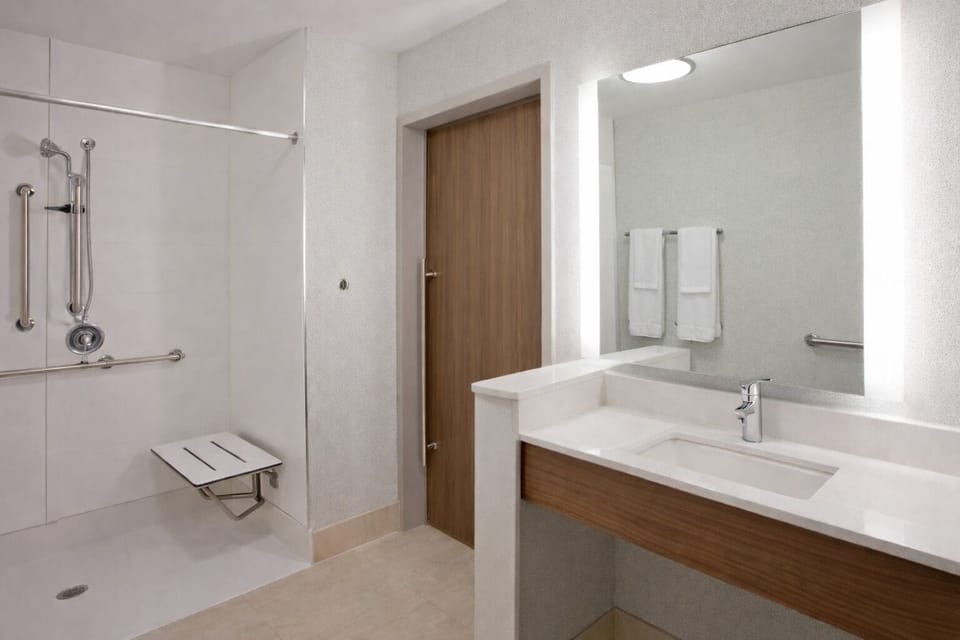 Room, 1 King Bed, Accessible, Non Smoking (Communications, Roll-In Shower) | Accessible bathroom