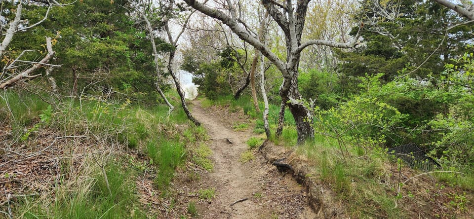 A peaceful hiking trail winds through lush woodland, offers private access to the beach just short walk from your accommodation.