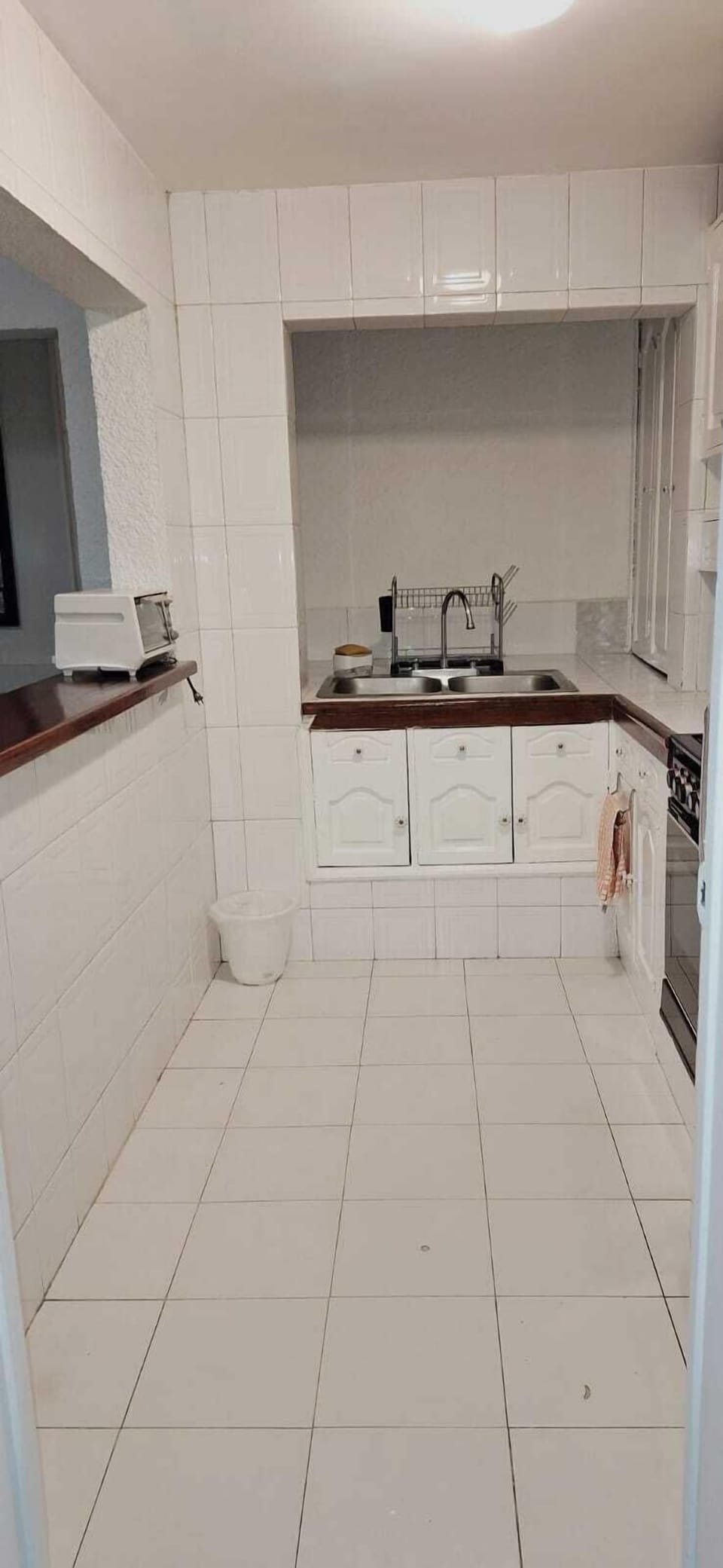 Family Apartment, 2 Bedrooms, City View | Private kitchen | Full-size fridge, microwave, blender, toaster oven