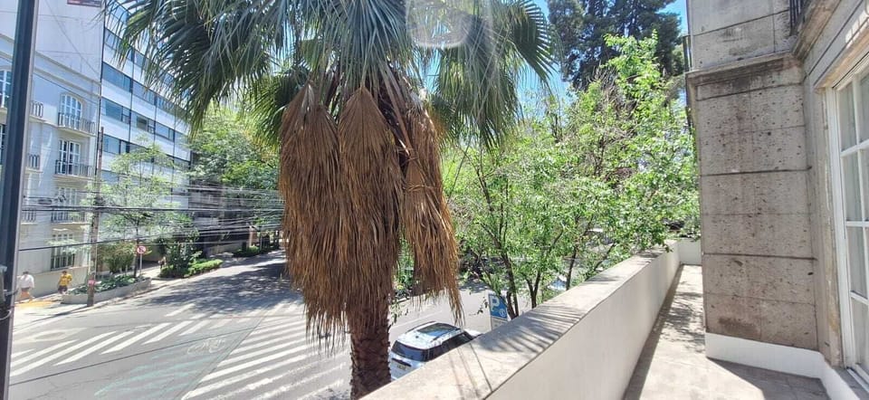 Family Apartment | Terrace/patio