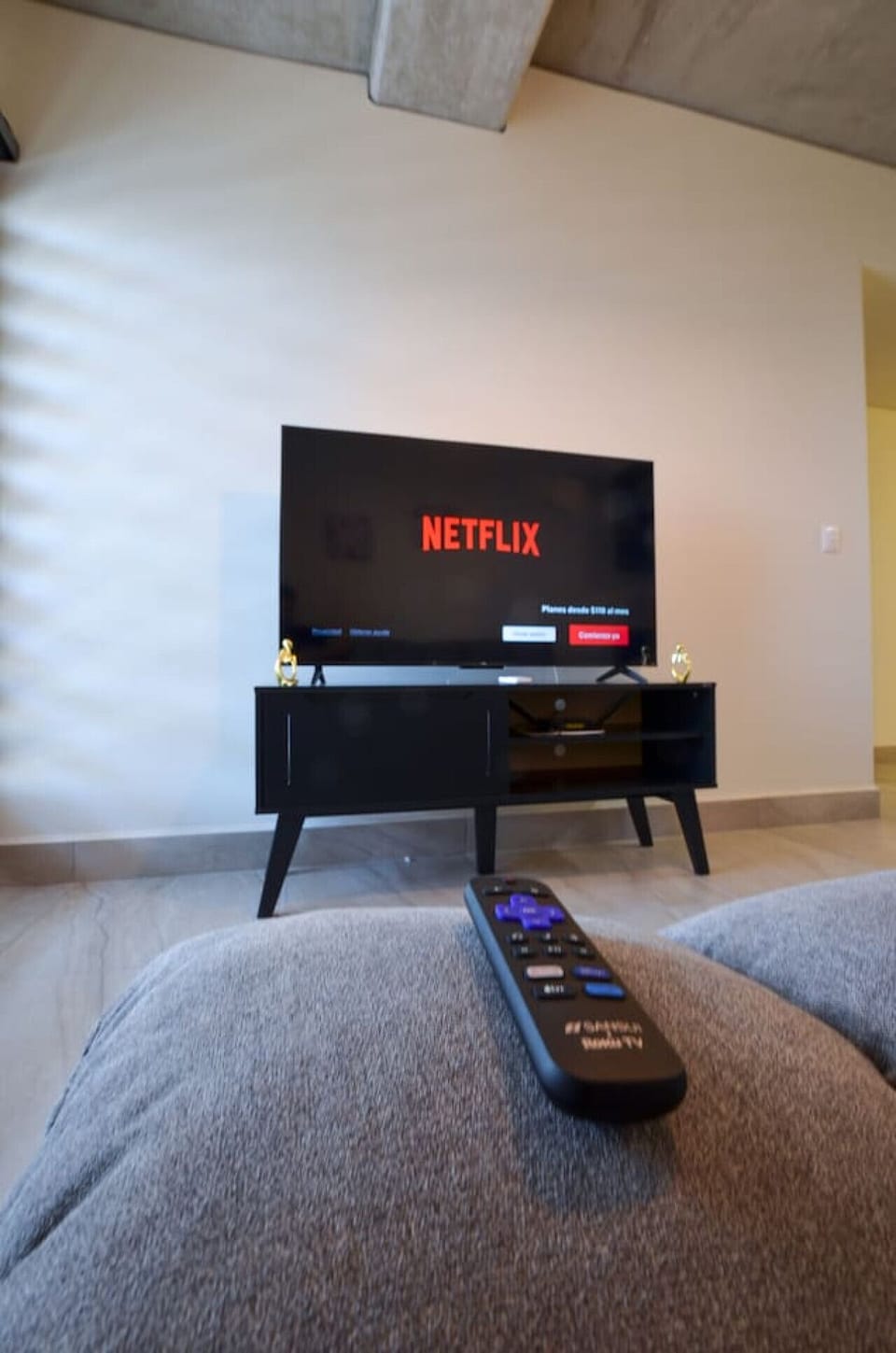 Television