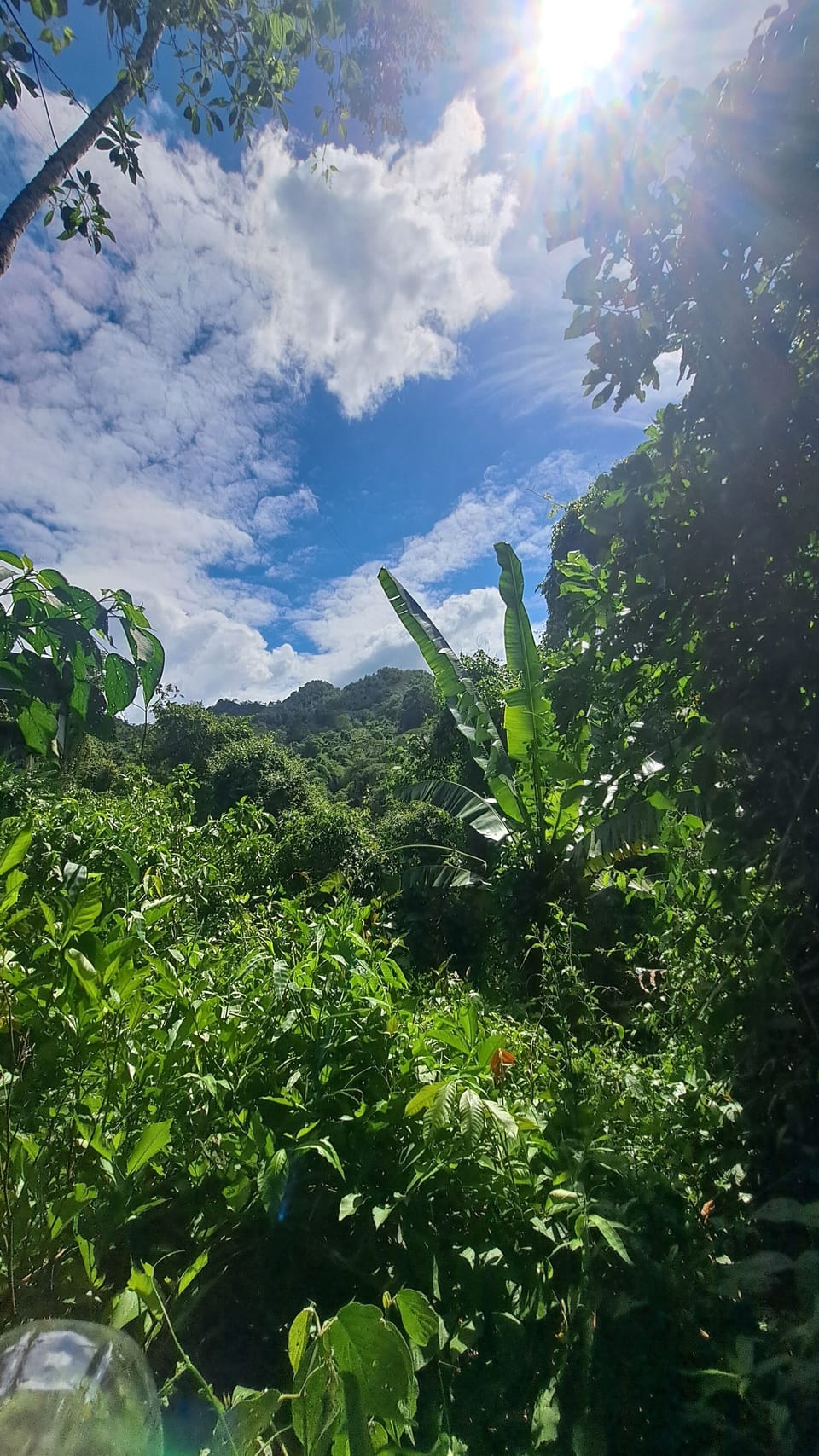 view