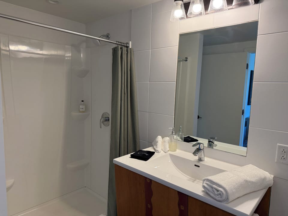 Classic Room, 1 King Bed | Bathroom | Shower, free toiletries, hair dryer, towels