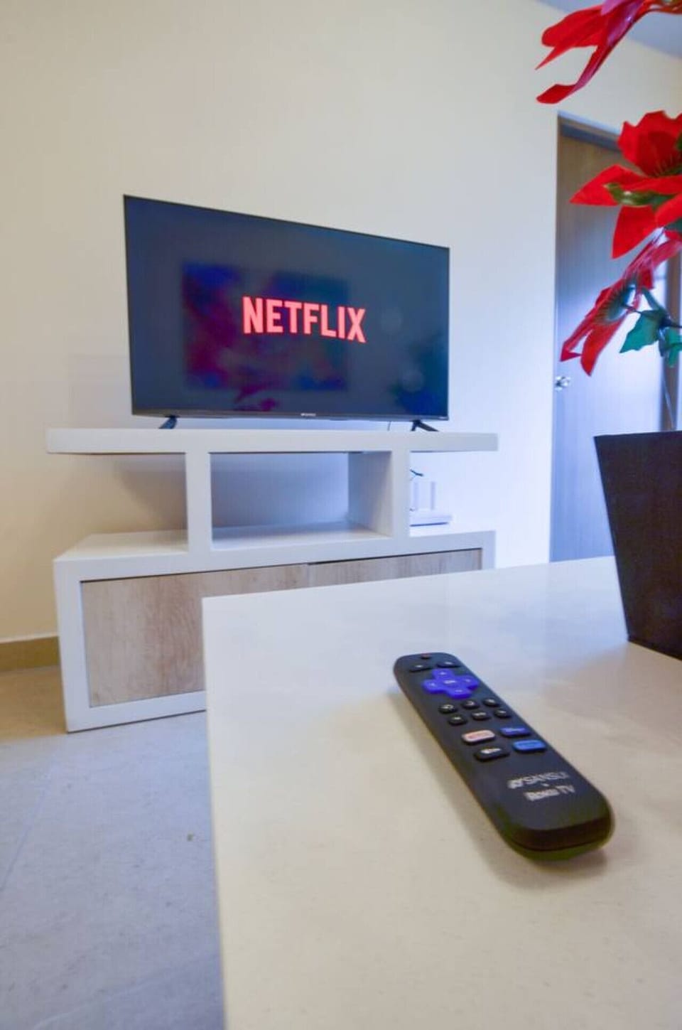 Television