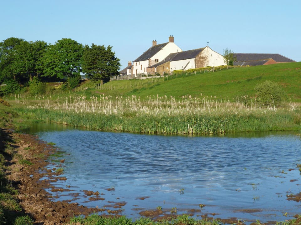 Milestone Cottage, Irthington