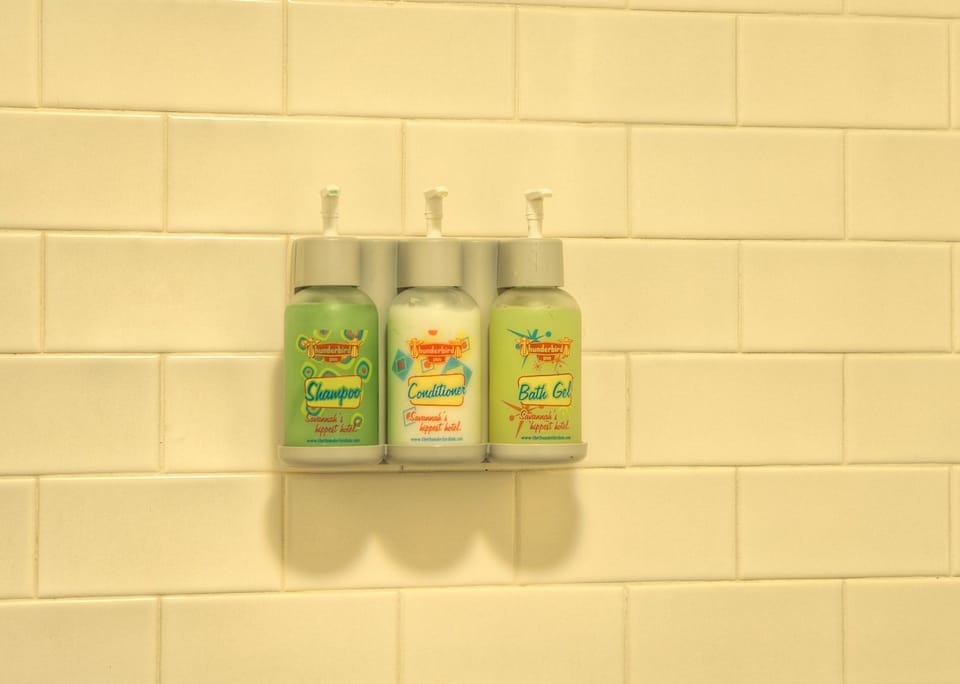 Shower, designer toiletries, hair dryer (on request), towels