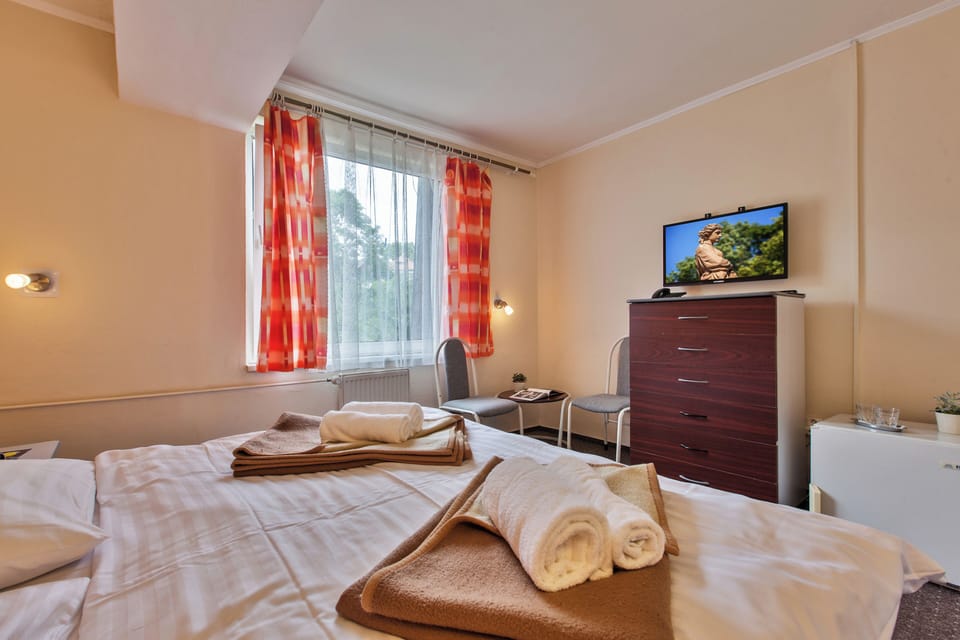 Classic Double or Twin Room | Free WiFi, bed sheets