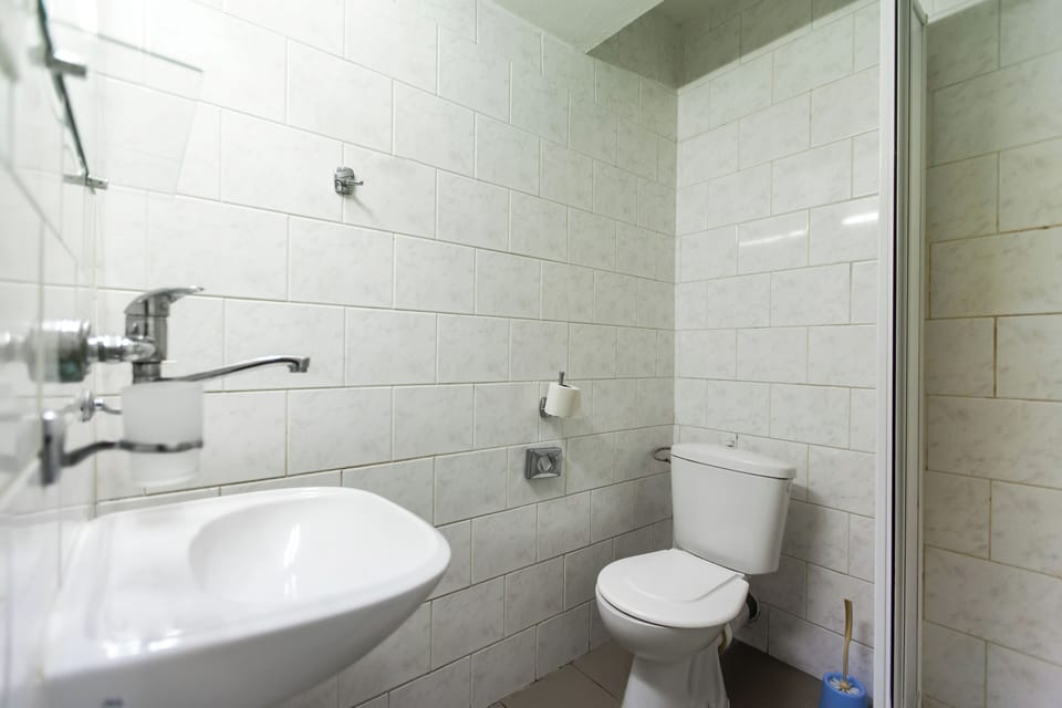 Classic Double or Twin Room | Bathroom | Shower, free toiletries, towels, soap