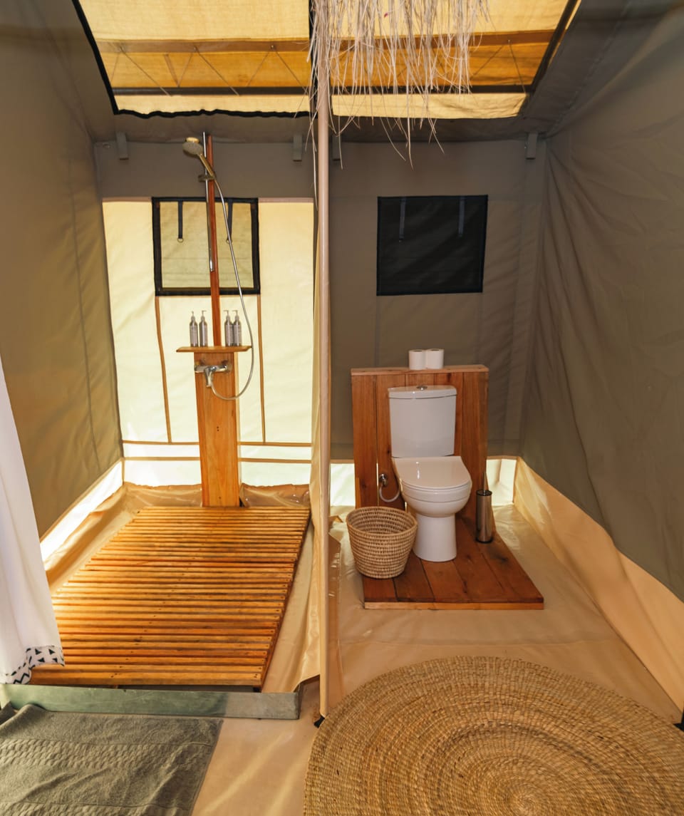 Bidet, towels, soap, shampoo