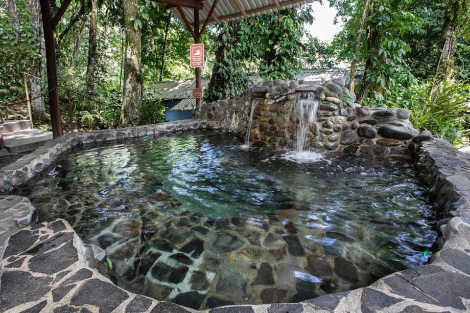 Casa del Arbol (Adults only) Hotel in Quepos