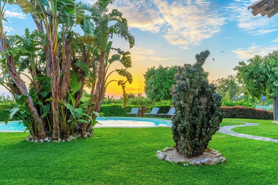 Blue, Green, Grass, Shrub, Landscape, Garden, Swimming Pool, Lawn, Resort