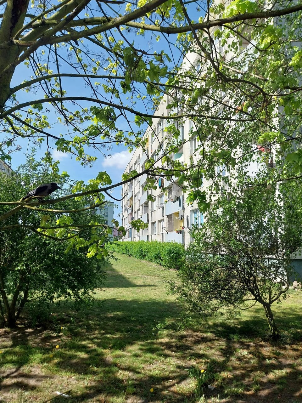Apartment | Property grounds