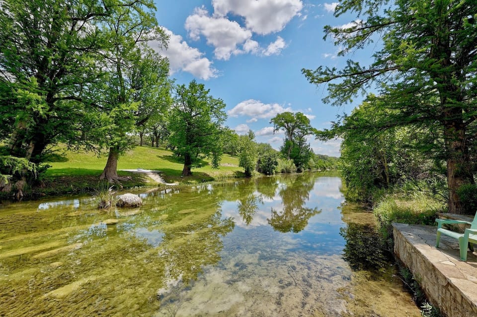 Serene river views surrounded by nature